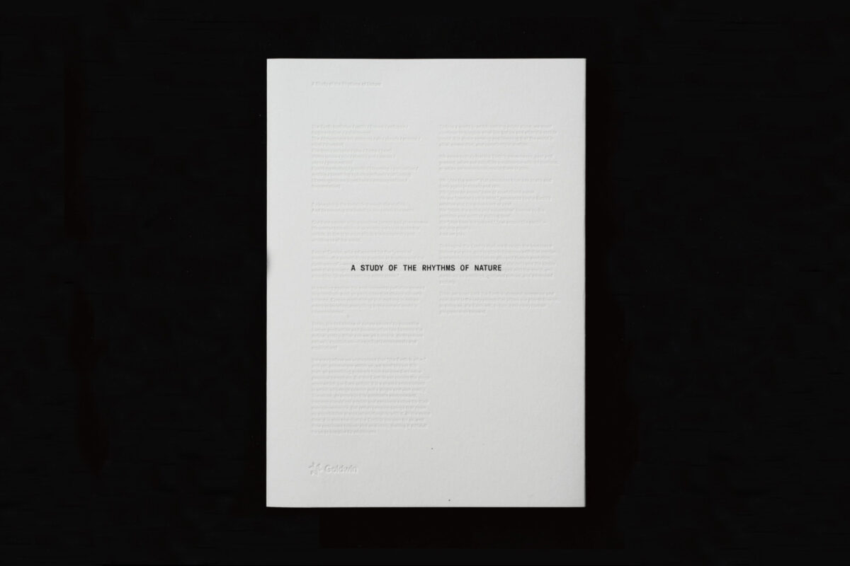 Goldwin Purpose Book